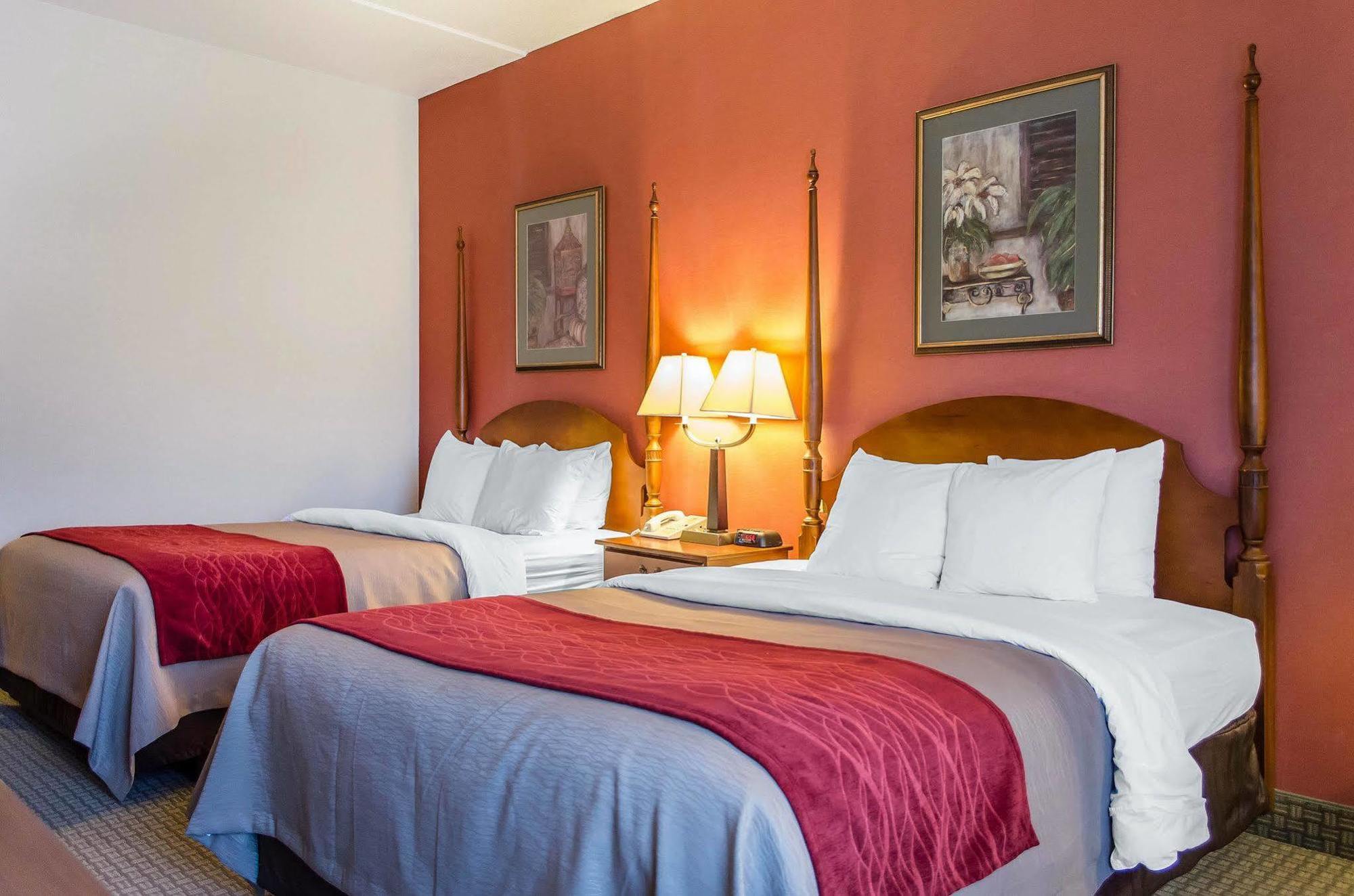 Comfort Inn & Suites York Bagian luar foto